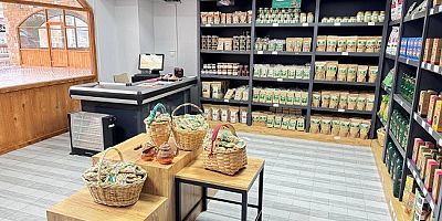 Gemlik’in Zeytinyağları Giresun'da