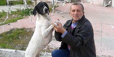 Sokak Hayvanlarının Can Dostu!