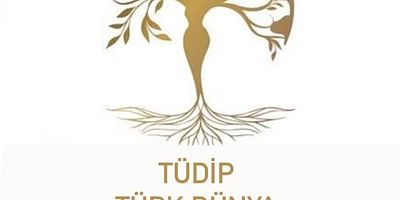 Türk-Dünya İşkadınları Platformu'ndan anlamlı etkinlik 