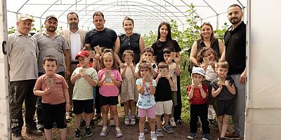 Uğur Böcekleri Doğayla Buluştu